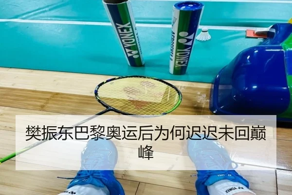 樊振东巴黎奥运后为何迟迟未回巅峰